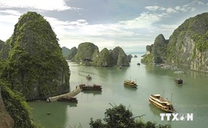 Workshop on promoting Ha Long Bay's values held - ảnh 1